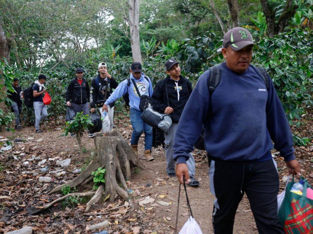 migrantes_11233399_20250701075353
