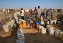 Atrocidades y desplazamiento masivo en Sudán tras la caída de el-Fasher a manos de fuerzas paramilitares