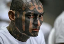 Juicio masivo contra la MS-13 en El Salvador revela brutales testimonios de torturas y asesinatos