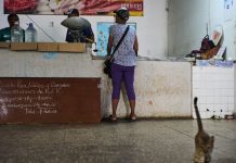 GAESA profundiza la crisis alimentaria en Cuba, denuncia informe presentado ante la ONU