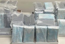 Camionero enfrenta juicio por introducir cocaína valorada en 2 millones de dólares a Canadá