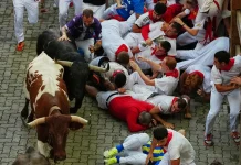 Dos españoles sufren cornadas en el último encierro de los Sanfermines 2026 en Pamplona