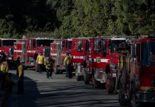 Ola de calor extremo y alerta de incendios en Los Ángeles: advierten cortes de luz y piden prepararse para evacuaciones