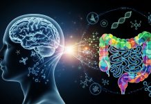 Alzheimer: identifican que una sustancia del intestino podría estar asociada con un deterioro cognitivo más rápido