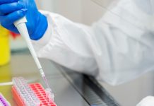 Avances en el nuevo tratamiento contra el cáncer de páncreas: logran reducir el tamaño de los tumores en siete pacientes y eliminar la metástasis en uno