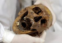 Suiza publica un expediente de 200 páginas sobre el criminal de guerra nazi Mengele, apodado «Ángel de la Muerte»