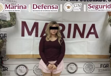 Detienen a mujer estadounidense que transportaba ocultos más de cinco mil cartuchos para la facción de El Mayito Flaco en Sonora