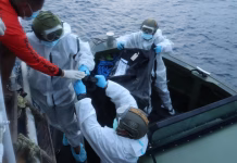 Al menos un muerto y más de 30 desaparecidos tras el hundimiento de un ferry por el fuerte oleaje en Vanuatu