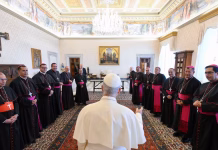 Quiénes son las 150 personas que llegarán a la Argentina con el papa León XIV