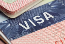 Estados Unidos agota las visas de trabajo H-2B: cuándo se reabre el cupo y quiénes aún pueden calificar