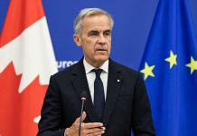 Michael Higgins: La aventura de Mark Carney en la UE no se trata de canadienses