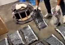 Autoridades dominicanas incautaron 11 paquetes de presunta marihuana oculta en un mueble enviado desde Miami