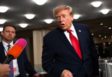 Las represalias del gobierno de Carney pueden debilitar el caso legal contra los aranceles de Trump, sostiene un grupo de expertos