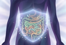 Un gastroenterólogo de Harvard explicó qué ocurre en el intestino cuando falta fibra y cómo ese proceso puede afectar la saciedad