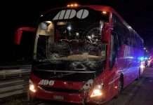 Ataques a autobuses en la autopista Puebla-Oaxaca: dos agresiones en tres días alarman a pasajeros