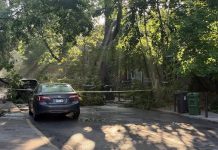La alcaldía de Toronto informará sobre los trabajos de limpieza tras la devastadora tormenta en el sur de Ontario