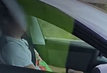 Sleeping Trans-Canada Tesla drivers caught on video in B.C., fined $368