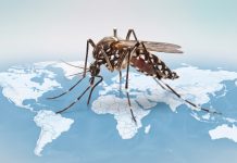 Alerta en California por el avance del virus del Nilo Occidental en el Valle de San Gabriel
