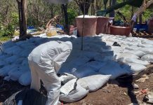 EEUU se atribuye la incautación de 16 toneladas de metanfetamina en Sinaloa, México