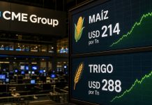 Viento a favor para la Argentina: el precio de los granos llegó al nivel más alto de la última década