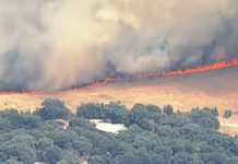 Un incendio en Texas sigue activo desde hace dos semanas: más de 30.000 hectáreas arrasadas y al menos 150 estructuras destruidas