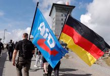 AfD refuerza su liderazgo en la última encuesta para las elecciones en Alemania