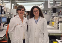 Investigadores españoles descubren que la sangre de las personas con síndrome de Down puede revelar si van a padecer Alzheimer con hasta dos décadas de antelación