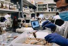 Centro de Investigación de la Universidad de Panamá respalda el desarrollo de antivenenos
