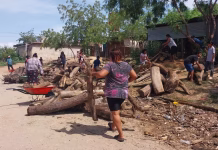 Recolectan madera arrastrada por el río Motagua para fabricar muebles en Guatemala