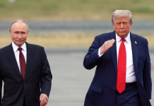 Trump dice que «es hora de que Ucrania tenga un nuevo presidente, después de las críticas de Zelensky al acuerdo sobre el diésel entre EE.UU. y Rusia