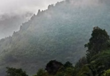 Perú enfrentará dos fenómenos climáticos: friaje en la selva y frío intenso en la sierra