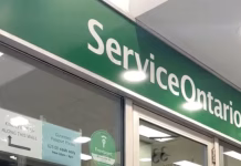 “Aquí nadie habla francés”: informe condenatorio sobre ServiceOntario