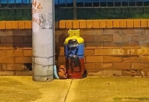 Cilindro con alusivos a las disidencias de las Farc fue abandonado cerca a un centro comercial en Cali: autoridades descartaron que fueran explosivos