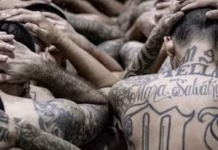 El efecto dominó de la MS13 y Barrio 18: neutralizadas en El Salvador, activas y fragmentadas en Guatemala y Honduras