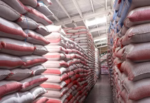 Honduras invertirá US$94,000 para producir semilla certificada de frijol
