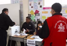 Perú: JNE proyecta oficializar los resultados de los comicios municipales en noviembre