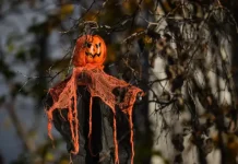 Edmonton registra la primera gran nevada de la temporada en vísperas de Halloween