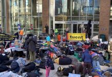 Manifestantes realizan una ‘muerte’ contra los pesticidas en Montreal